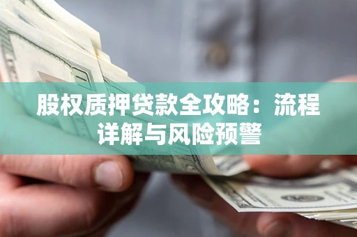 武汉股权质押贷款全攻略：流程详解与风险预警