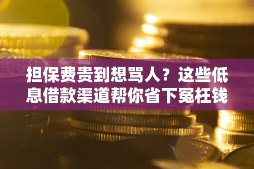 武汉担保费贵到想骂人？这些低息借款渠道帮你省下冤枉钱
