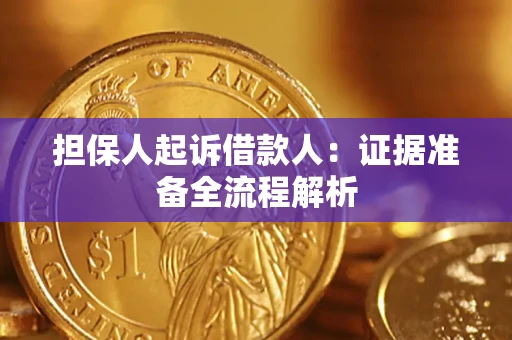 武汉担保人起诉借款人：证据准备全流程解析