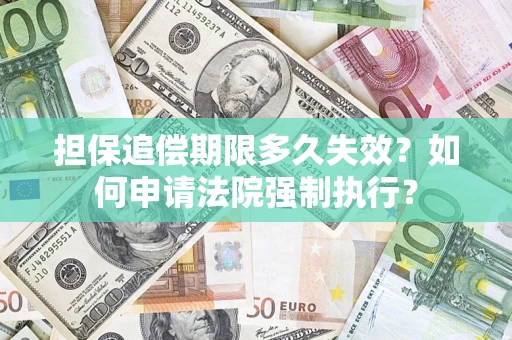 武汉担保追偿期限多久失效？如何申请法院强制执行？