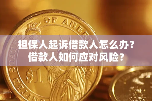 武汉担保人起诉借款人怎么办？借款人如何应对风险？