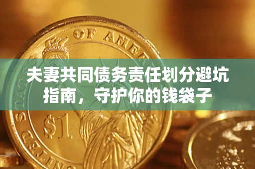 武汉夫妻共同债务责任划分避坑指南，守护你的钱袋子
