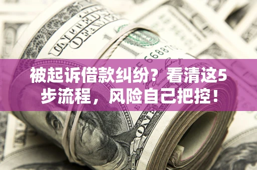 武汉被起诉借款纠纷？看清这5步流程，风险自己把控！