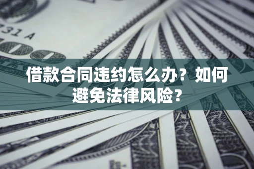 武汉借款合同违约怎么办？如何避免法律风险？