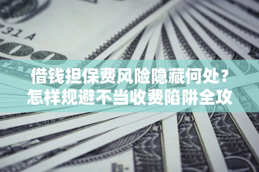 武汉借钱担保费风险隐藏何处？怎样规避不当收费陷阱全攻略！