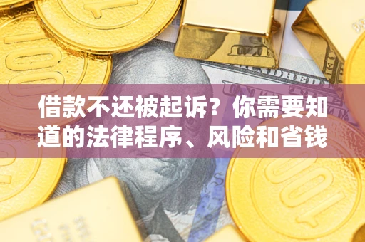 武汉借款不还被起诉？你需要知道的法律程序、风险和省钱技巧