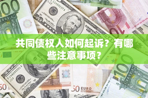 武汉共同债权人如何起诉？有哪些注意事项？