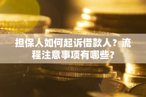 武汉担保人如何起诉借款人？流程注意事项有哪些？